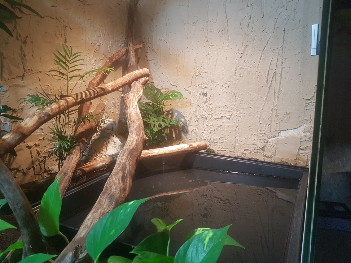 Terrarium