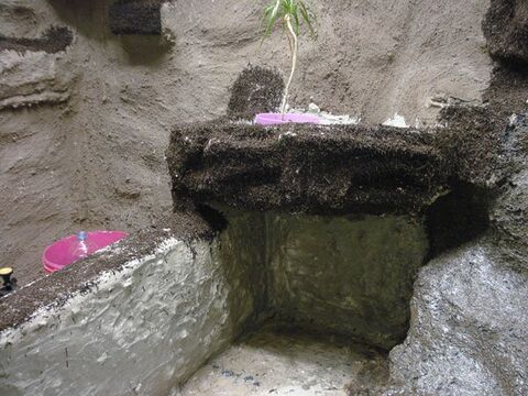 1. Wasseragamen Terarrium