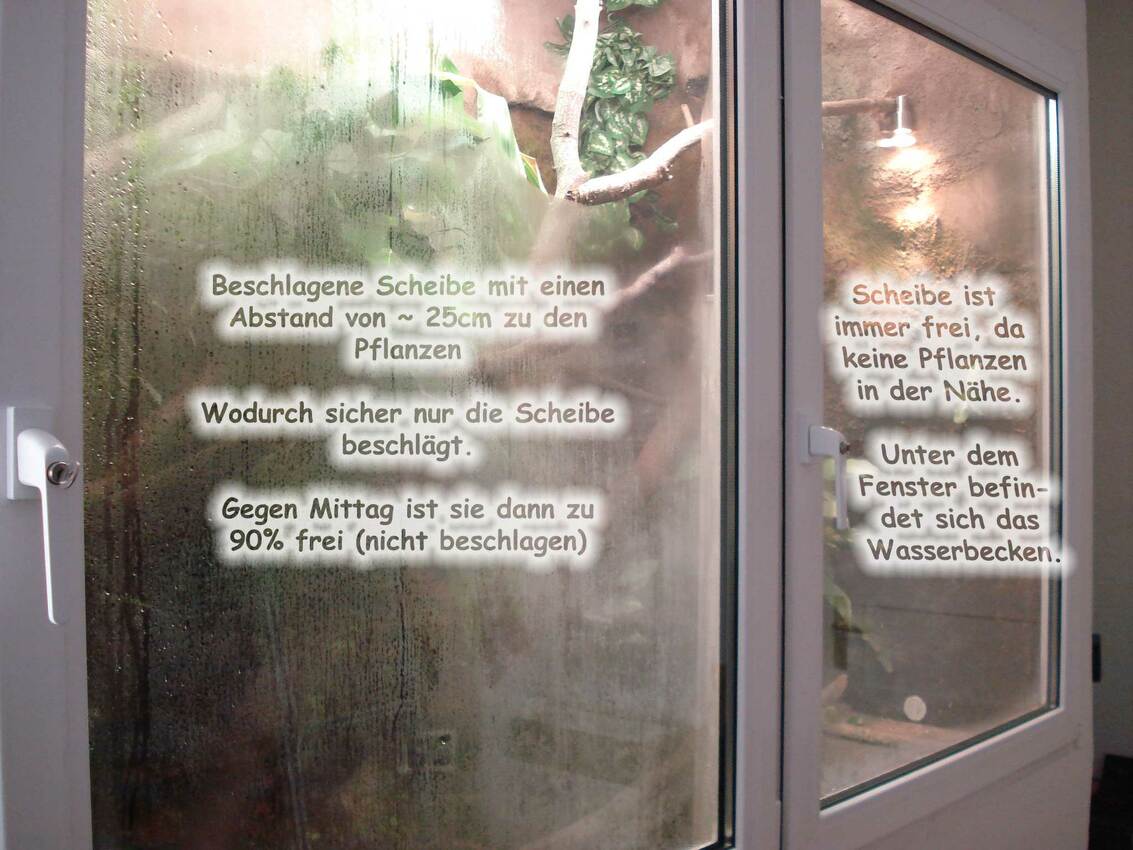 Isoliergals Scheiben