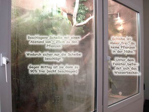 Isoliergals Scheiben