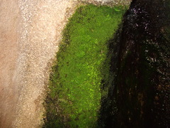 DSCF2777