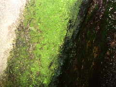DSCF2779