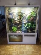 Terrarium1