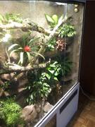 Terrarium2