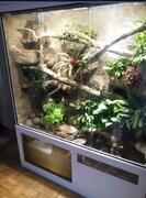 Terrarium3