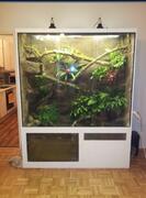 Terrarium4