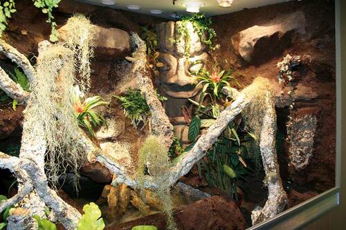 Terrarium für Wasseragamen: 200x150x200 BTH, zzgl. Unterschrank