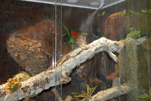 Terrarium für Wasseragamen: 200x150x200 BTH, zzgl. Unterschrank