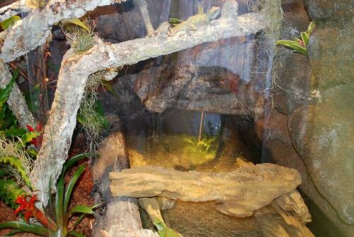 Terrarium für Wasseragamen: 200x150x200 BTH, zzgl. Unterschrank