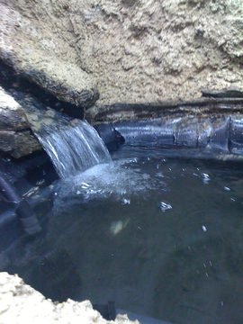 wassermarsch