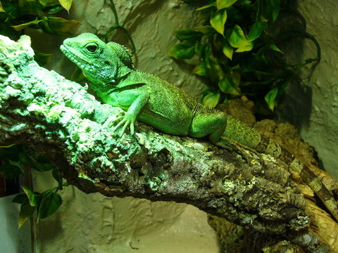 photo-464-00e5ce50[2]