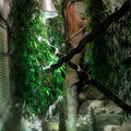 terrarium001