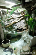 terrarium002