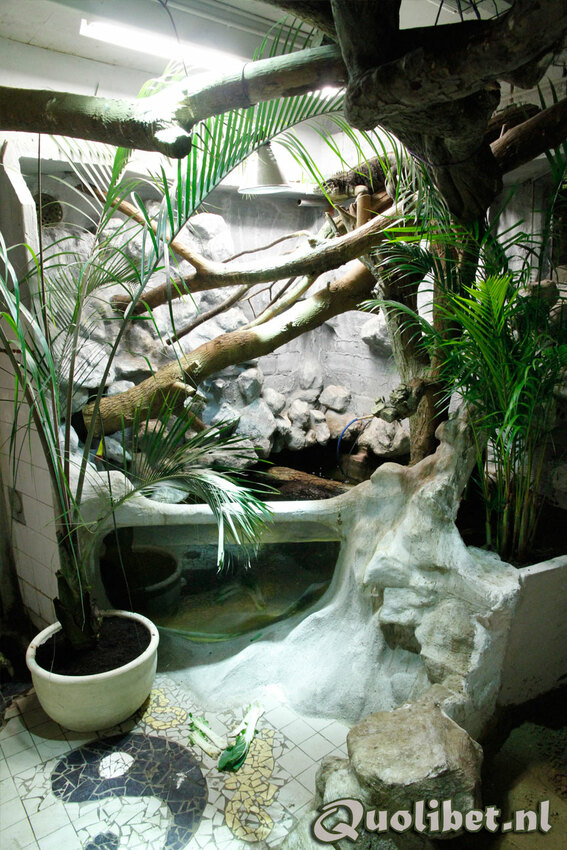 terrarium002