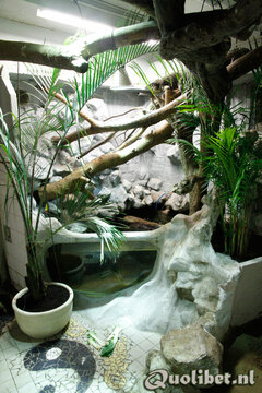 terrarium002