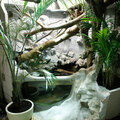 terrarium002