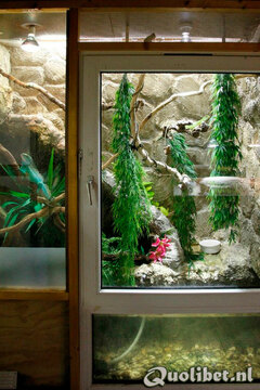 terrarium003