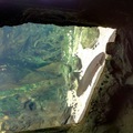 Besuch in Gondwanaland