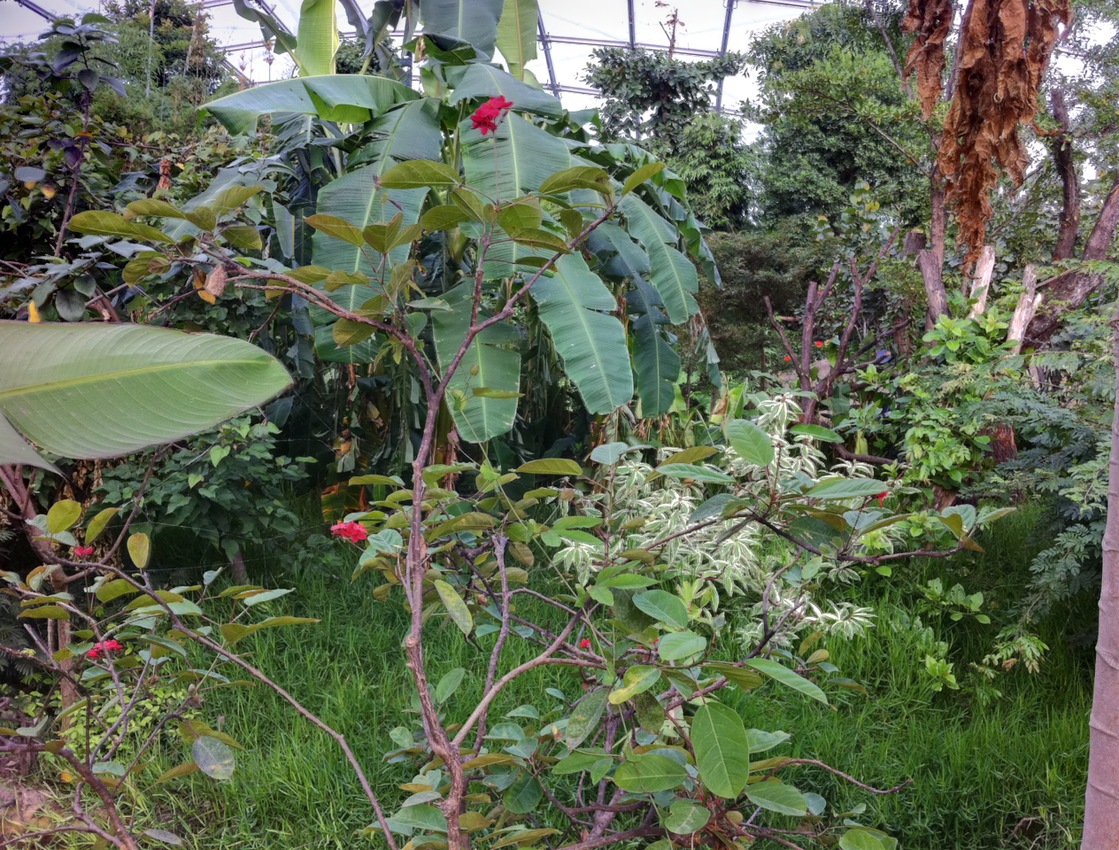 Besuch in Gondwanaland