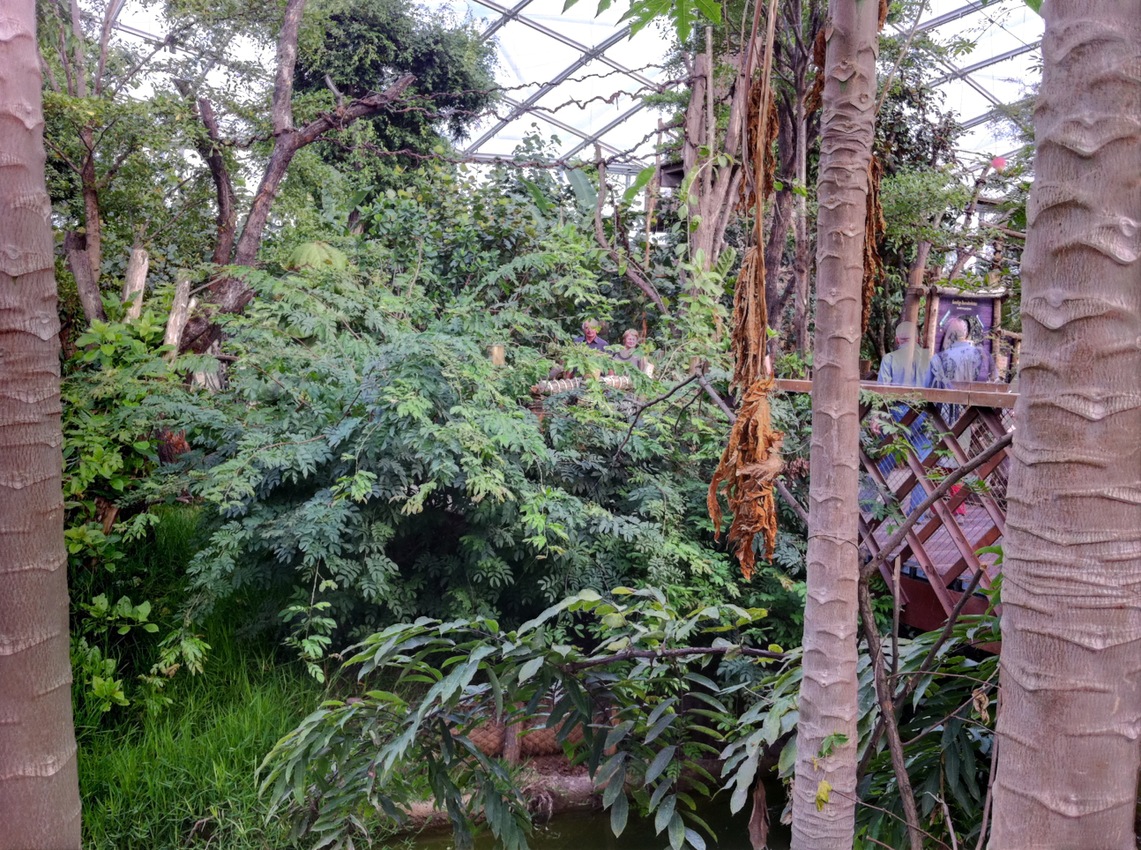 Besuch in Gondwanaland