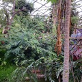 Besuch in Gondwanaland