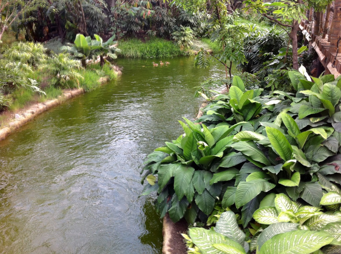 Besuch in Gondwanaland