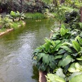 Besuch in Gondwanaland