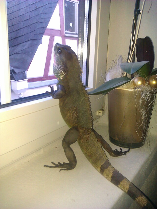 IMAG0295