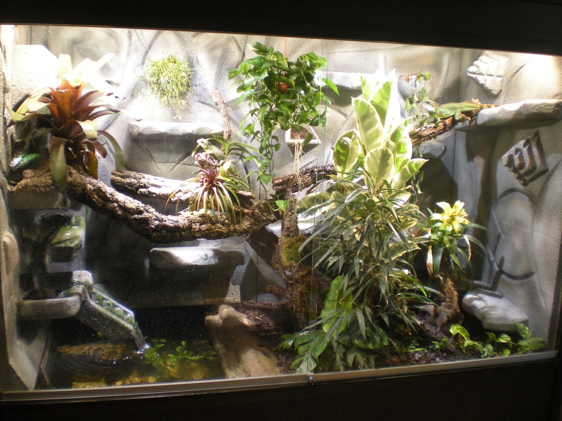 Terrarium 26.5.2012