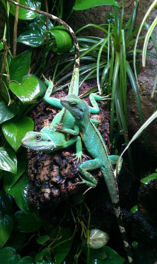 IMAG0275