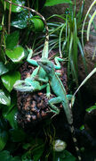 IMAG0275