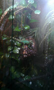 IMAG0283