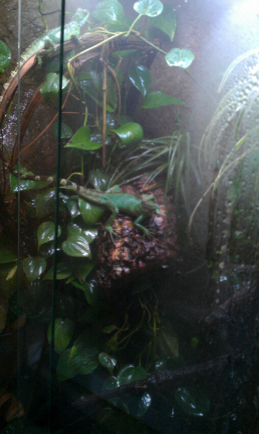 IMAG0283
