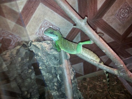 photo-651-9c5fbfb3