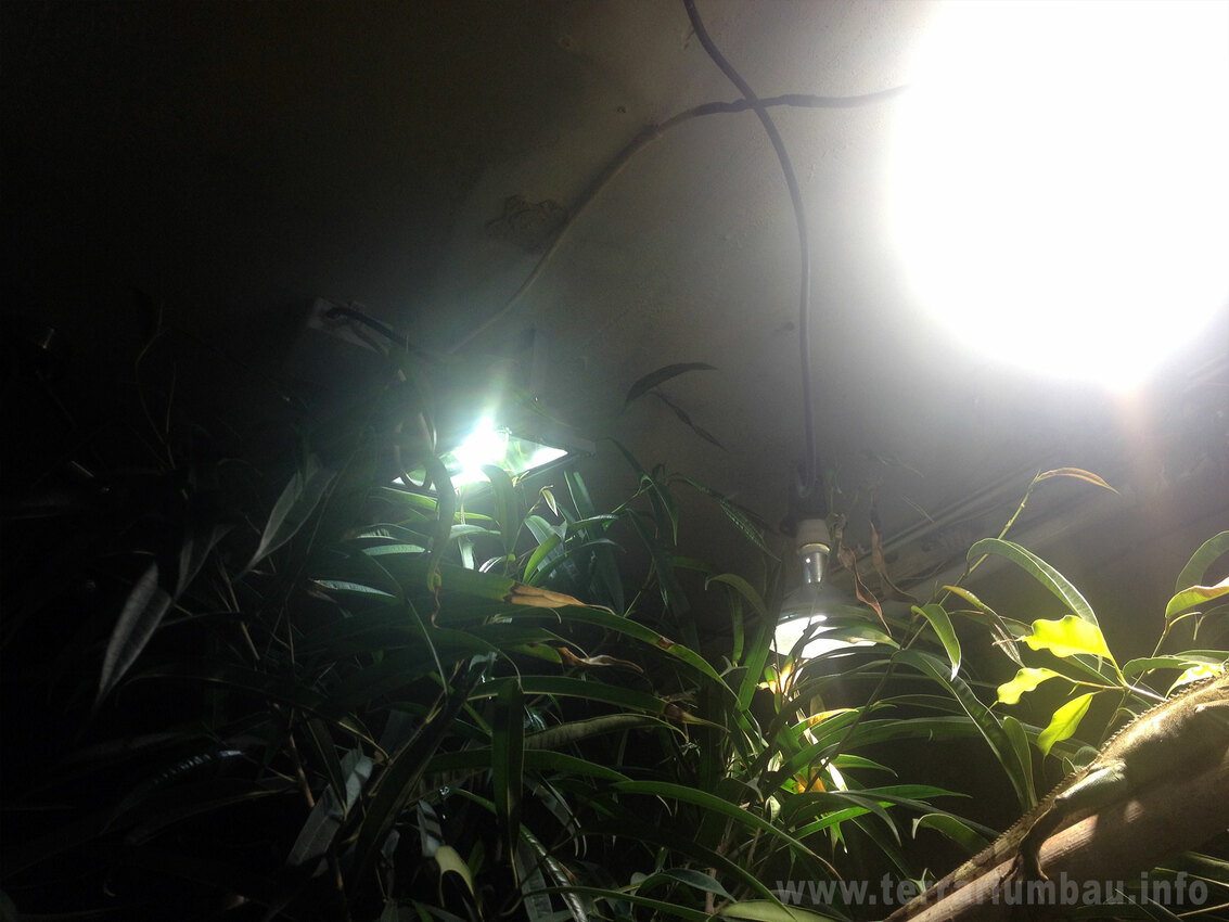 LED Strahler