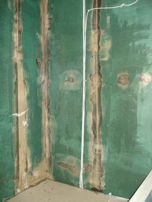 1. Wasseragamen Terarrium