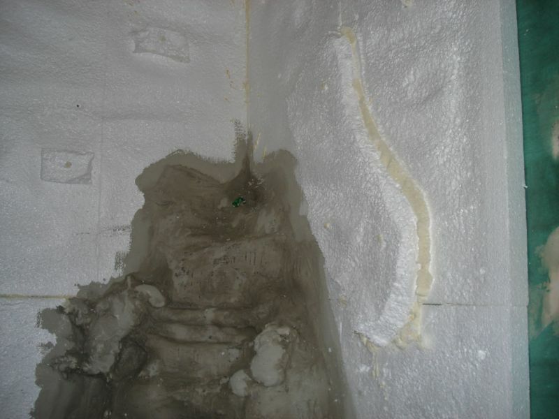 1. Wasseragamen Terarrium