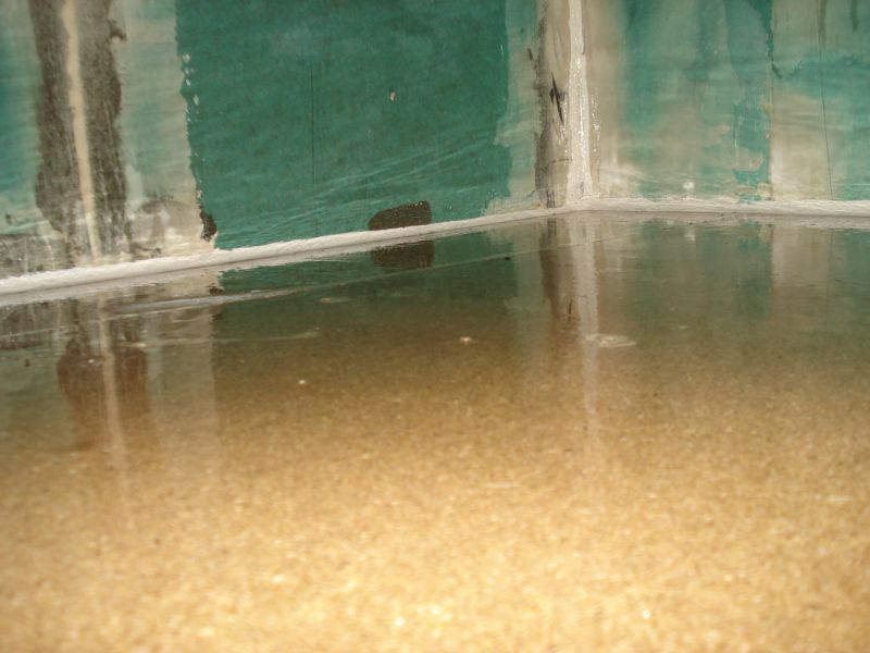 1. Wasseragamen Terarrium