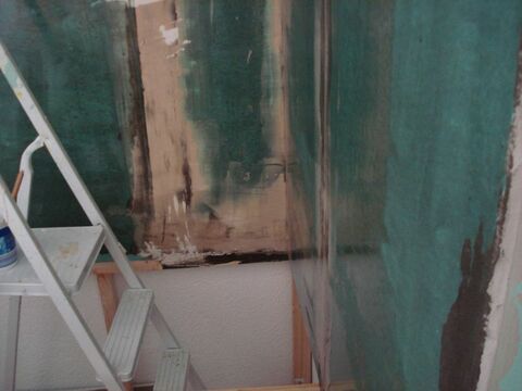 1. Wasseragamen Terarrium