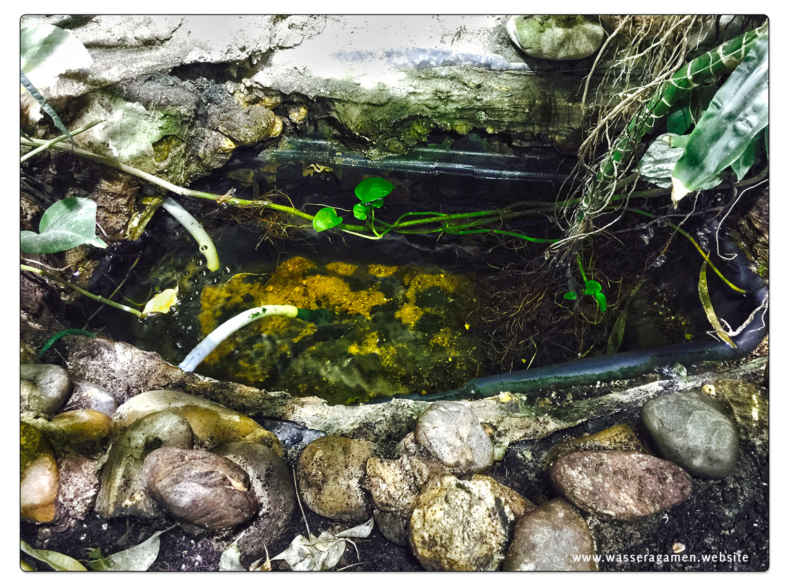 Wasserbecken 150l