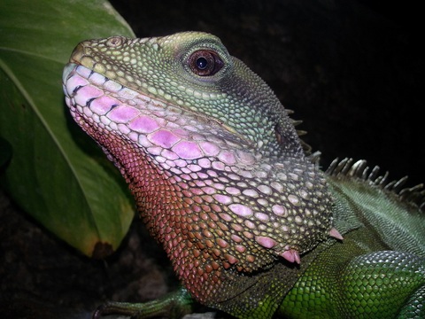 20150223_084043