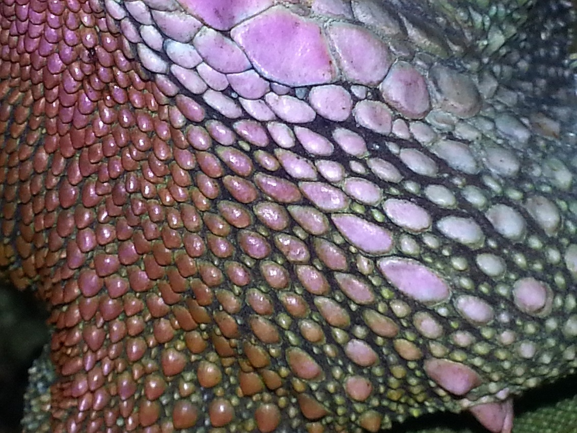 20150224_101041