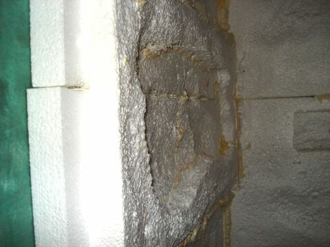 1. Wasseragamen Terarrium