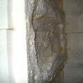 1. Wasseragamen Terarrium