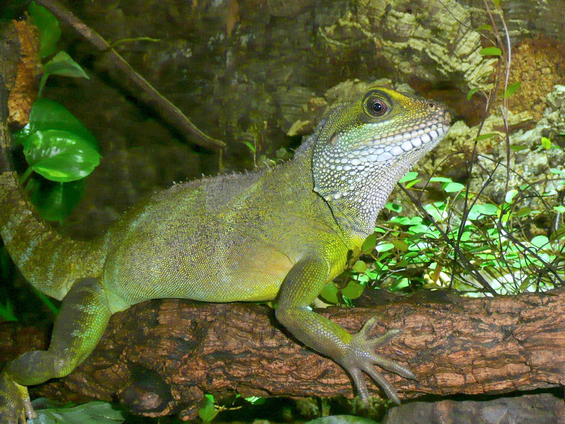 P1120375