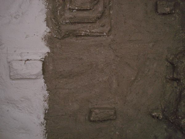 1. Wasseragamen Terarrium