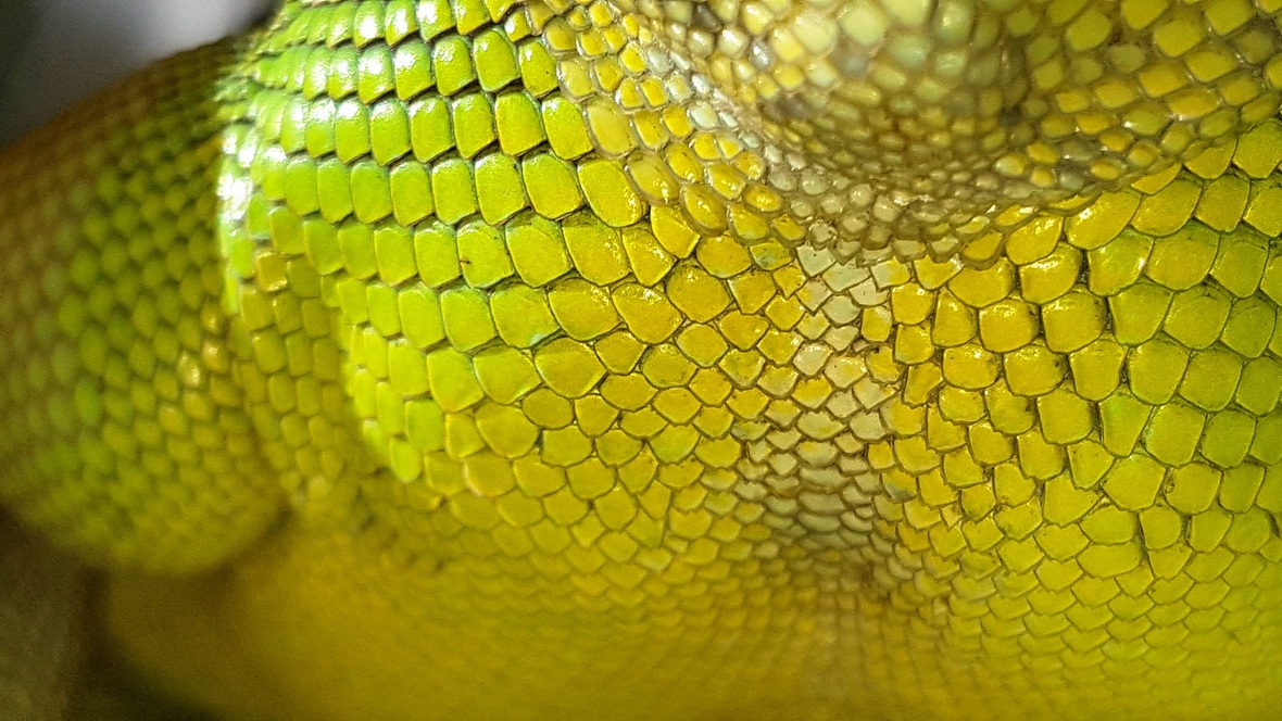20160826_095729