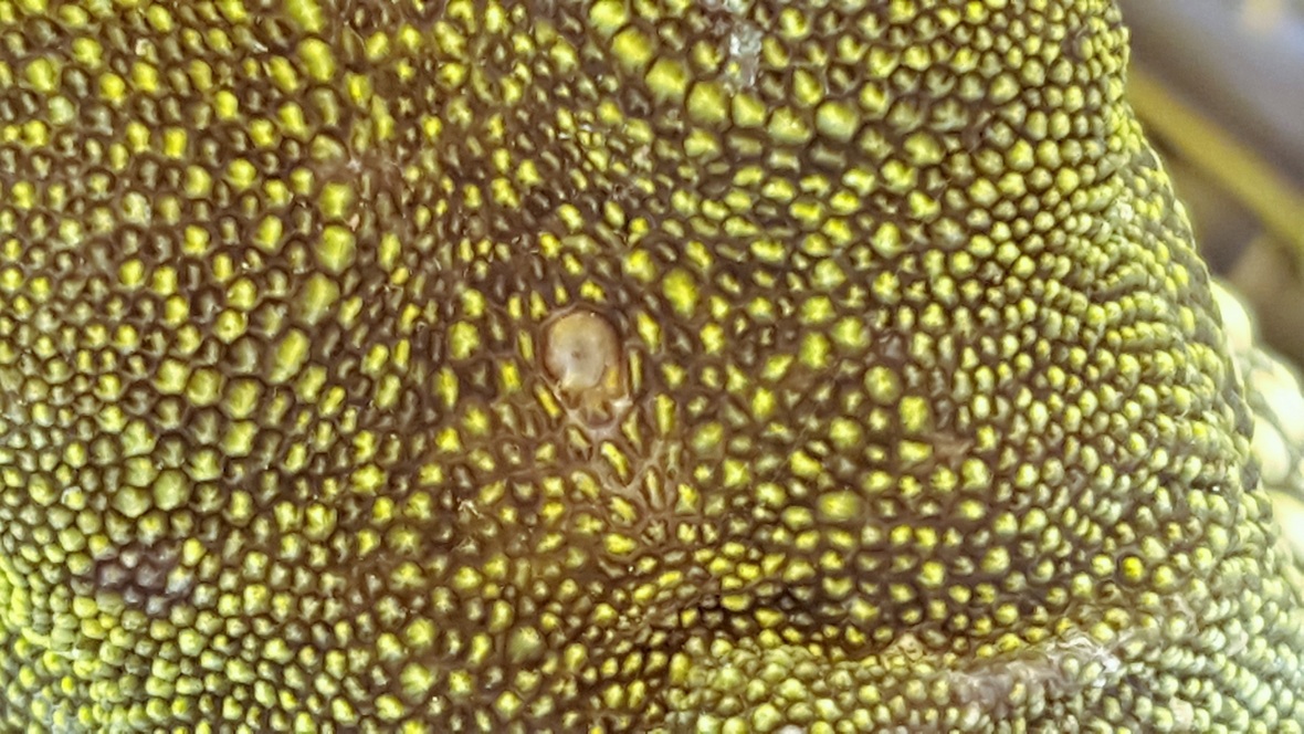 20160826_095953