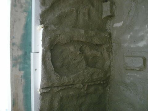 1. Wasseragamen Terarrium