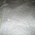 1. Wasseragamen Terarrium